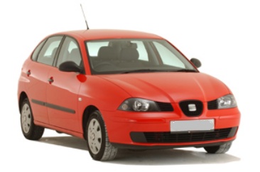 SEAT Ibiza 02-
